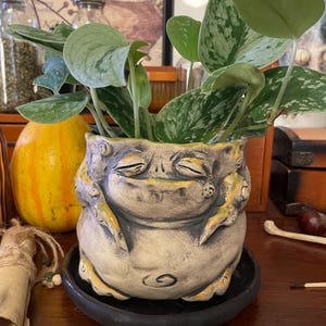 Vaso de planta com pires, raiz de mandrágora. Vasos de mandrágora de tamanho médio para plantas de interior. Vaso de cerâmica artesanal com design exclusivo. Peça única.