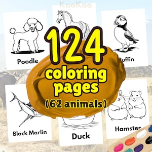 Facile! Raccolta di 124 immagini di animali per pagine di libri da colorare / Download stampabile / Download digitale / PNG / Educativo / Bambini