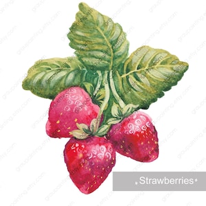 Fragole, dipinto originale a mano, dipinto di frutta ad acquerello, quadro da cucina su carta, piccola opera d'arte, pezzo unico, decorazione per il soggiorno
