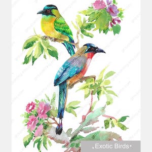 Exotic Birds Watercolor Painting, Hand Painted Original, Animal Picture on Paper, Small Fine Art, One of a Kind, Children Room Decor, OOAK