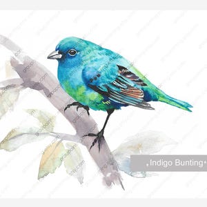 Indigo Bunting Bird, Hand Painted Original, Watercolor Painting, Animal Picture on Paper, Small Fine Art, One of a Kind, Easter Room Decor