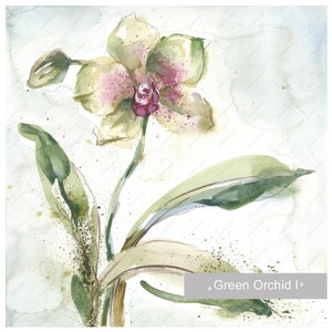 Orchidea verde acquerello, piante acquerellate dipinte a mano, dipinto originale floreale Picrute su carta, piccola arte contemporanea, pezzo unico