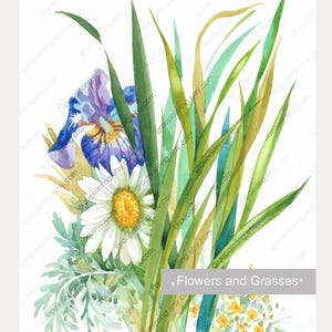Fiori ed erbe, originale dipinto a mano, acquerello, quadro floreale su carta, piccola opera d'arte, pezzo unico, decorazione per il soggiorno