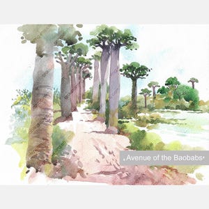 Viale dei Baobab, dipinto a mano originale, dipinto su carta, acquerello, opera d'arte, pezzo unico, decorazione per soggiorno, dipinto della natura