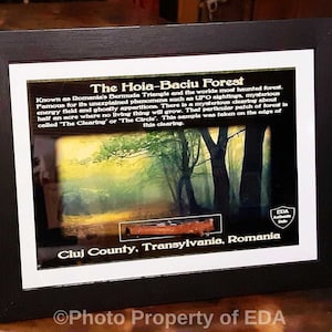 May include: A framed print featuring a landscape of a forest with text that reads "The Hoia-Baciu Forest" and details about the forest's mysterious phenomena. The frame is black, and the print has a white border.