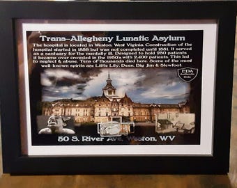 TRANS ALLEGHENY Lunatic Asylum Paint Chips Sample Relic Limited Edition Certificate Of Authenticity & Serial Number Haunted Item Object
