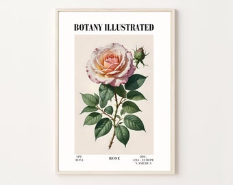 Pink Rose Print : Botanical Print Exhibition Posters, Gallery Wall Art, Boho Wall Art Poster, Plant Lover Gift, Plant Decor Floral