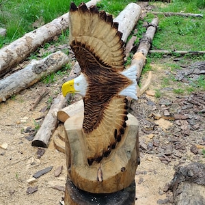 Chainsaw Carved Soaring American Bald Eagle White Pine Stump Hand Carved Bird Flying Wings Spread One Sided Piece