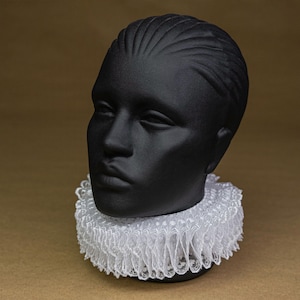Elizabethan collar - neck ruff - white lace