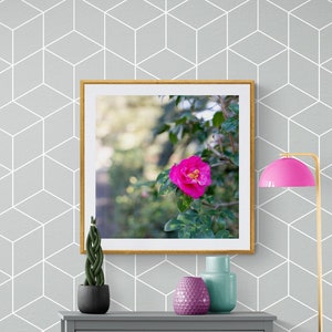 Hot Pink Camellia Flower Photo: Bold Floral Art Print