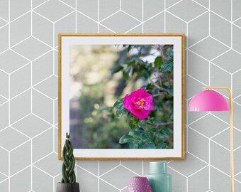 Hot Pink Camellia Photo, Bright Floral Photo, Magenta Flower Photo, Spring Flower Photo, Bold Floral Art, Pink Green Art, Camellia Art
