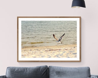 Seagull Photograph, Neutral Beach House Decor, Gray Beige Art, Bird Photograph, Beach Photograph, Coastal Photograph, Beach House Wall Art