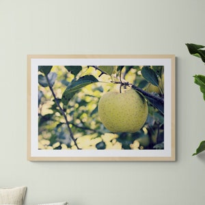 Green Apple Photo, Apple Tree Photo, Kitchen Wall Decor, Green Leaves Art, Green Apple Art, Green Yellow Art, Fruit Photo, Nature Photo image 1