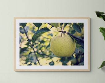 Green Apple Photo, Apple Tree Photo, Kitchen Wall Decor, Green Leaves Art, Green Apple Art, Green Yellow Art, Fruit Photo, Nature Photo