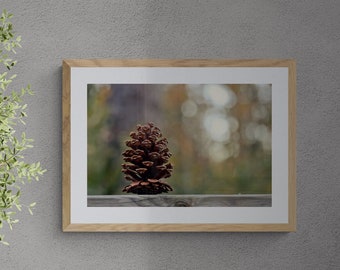 Pine Cone Photo, Woodland Photo Art, Pinecone Print, Still Life Photo, Rustic Home Decor, Bokeh Photo, Forest Photo, Brown Gray Green Art