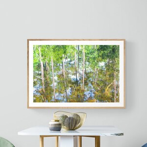 Abstract Nature Photograph, Tree Reflection, Pond Reflection, Blue Green Brown Tree Wall Art, Water Photo, Mississippi Coast Reflection Art image 1