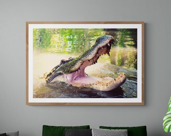 Alligator Photo, Wildlife Photograph, Louisiana Bayou Art, Honey Island Swamp Photo Art, Green Pink Wall Art, Gator Teeth Photo, Low Country