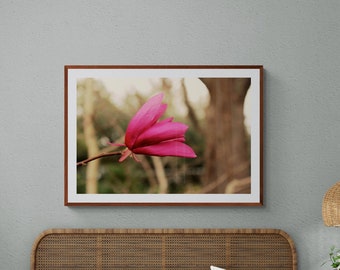 Hot Pink Magnolia Photograph, Magenta Flower Art, Floral Wall Art, Pink Brown Decor, Pink Gray Wall Art, Floral Photograph, Magnolia Flower