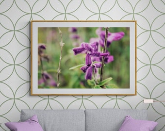Purple Flower Art, Purple Green Art, Salvia Photograph, Botanical Garden Art, Feminine Photo, Floral Photograph, Flower Garden Photograph