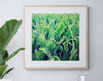 Fern Photograph, Green Wall Art, Botanical Wall Art, Modern Home Decor, Nature Photo, Abstract Wall Art, Green Plant Print, Modern Wall Art