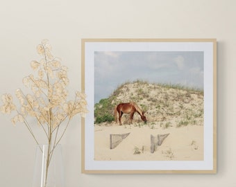 Corolla Wild Horse Photo, Outer Banks Horse Wall Art, Horse on Beach Photograph, Coastal Wall Decor, Beach House Art, Brown Blue Green Art