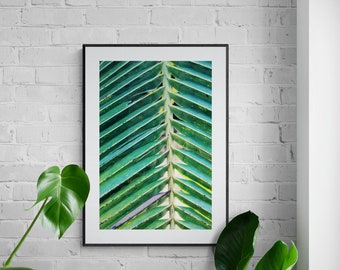 Modern Botanical Wall Art, Tropical Plant Photo, Green Palm Photograph, Nature Photography, Palm Frond Photo, Green Abstract Art