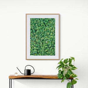 Green Modern Art, Bright Green Photo, Aerial Tree Photo, Whistler Mountain, Evergreen Tree Photo, Forest Wall Art, Pine Tree Photo, Bold Art image 1