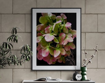 Wilted Flower Photo, Hydrangea Photo, Moody Flower Art, Dramatic Nature Art, Pink Green Wall Art, Floral Photograph, Flower Petals Photo