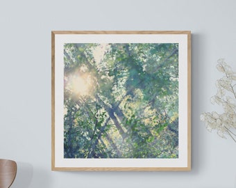 Teal Abstract Art, Woodland Photograph, Dreamy Nature Photo, Blue Green Art, Sun Flare Art, Sunlight Print, Forest Photograph, Woods Photo