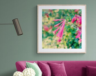 Honeysuckle Wall Art, Floral Photography, Trumpet Honeysuckle Photo, Floral Wall Decor, Spring Flower Art, Red Floral Art, Floral Wall Art