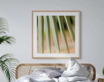 Modern Art, Botanical Art, Square Abstract Art, Abstract Plant Photo, Green Lines Art, Palm Frond Art, Palm Photo, Botanical Photograph