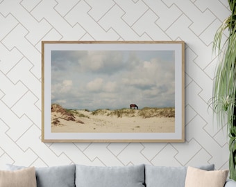 Wild Horse Beach Foto: Paesaggio costiero di Corolla Outer Banks