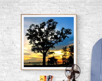 Tree Silhouette Photo, Blue Orange Sunset, Beach Sunset Art, Ocean Springs, Orange Blue Wall Art, Tropical Landscape, Colorful Sky Photo