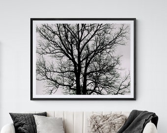 Oak Tree Photo, Oak Tree Art, Oak Branches Art, Black and White Photo, Winter Tree Photo, Bare Branches Photo, Tree Branches Decor