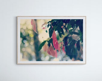 Tamborine Rainforest Nature Photo, Green Pink Blue Art, Colorful Leaves Art, Rainforest Wall Art, Dreamy Photograph, Botanical Photograph