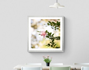 Pale Pink Camellia Flower Print: Square Floral Photo Art