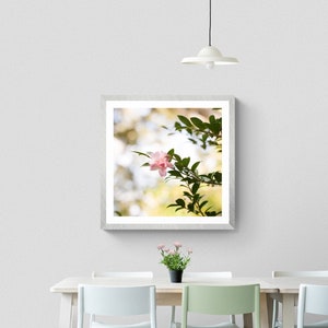 Pale Pink Camellia Flower Print: Square Floral Photo Art