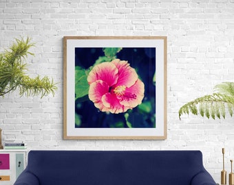 Hibiscus Photo, Bold Flower Art, Hot Pink Flower, Bright Floral Photo, Hot Pink, Dark Blue, Floral Wall Art, Girls Room Art, Bold Wall Decor