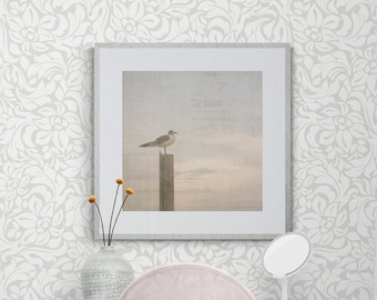 Dream Art, Seagull Photography, Pastel Square Print, Pink Gray Art, Bird Photo, Pastel Wall Art, Clouds Wall Art, Dreamy Nature Photo, Beach