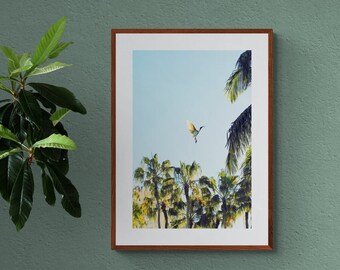 Ibis im Flug Fotografie: Brisbane Botanischer Garten Kunstdruck