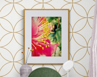 Camellia Wall Art, Pink Green Yellow, Macro Flower Photo, Camellia Photo, Magenta Gold Art, Hot Pink Flower Art, Flora Photograph, Pink Art