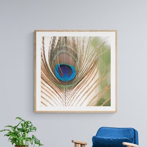 Peacock Feather Photo: Bold Square Wall Art Print