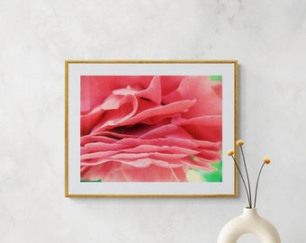Pink Camellia Flower Petal Photo: Girly Floral Wall Art