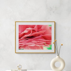 Pink Camellia Flower Petal Photo: Girly Floral Wall Art