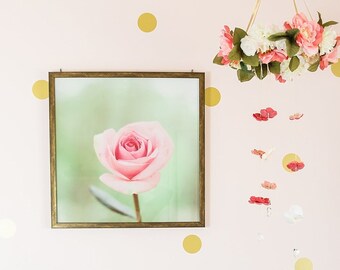 Rose Wall Art, Soft Floral Decor, Pink Rose Photograph, Pastel Pink Green, Pale Pink Floral Art, Cottage Chic Art, Feminine Decor, Girly Art