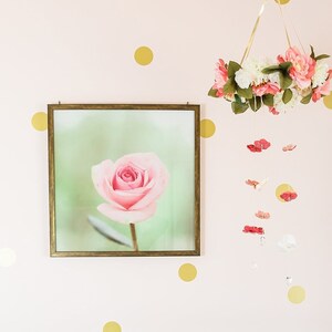 Rose Wall Art, Soft Floral Decor, Pink Rose Photograph, Pastel Pink Green, Pale Pink Floral Art, Cottage Chic Art, Feminine Decor, Girly Art image 1