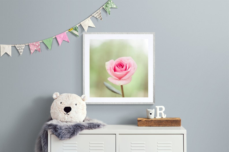 Rose Wall Art, Soft Floral Decor, Pink Rose Photograph, Pastel Pink Green, Pale Pink Floral Art, Cottage Chic Art, Feminine Decor, Girly Art image 5