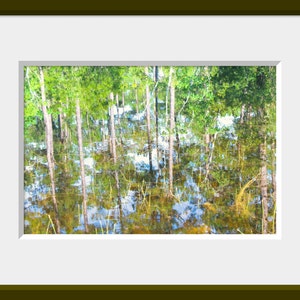 Abstract Nature Photograph, Tree Reflection, Pond Reflection, Blue Green Brown Tree Wall Art, Water Photo, Mississippi Coast Reflection Art image 7