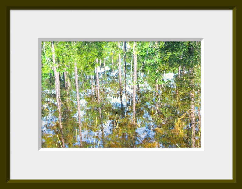 Abstract Nature Photograph, Tree Reflection, Pond Reflection, Blue Green Brown Tree Wall Art, Water Photo, Mississippi Coast Reflection Art image 7