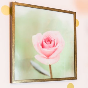 Rose Wall Art, Soft Floral Decor, Pink Rose Photograph, Pastel Pink Green, Pale Pink Floral Art, Cottage Chic Art, Feminine Decor, Girly Art image 3